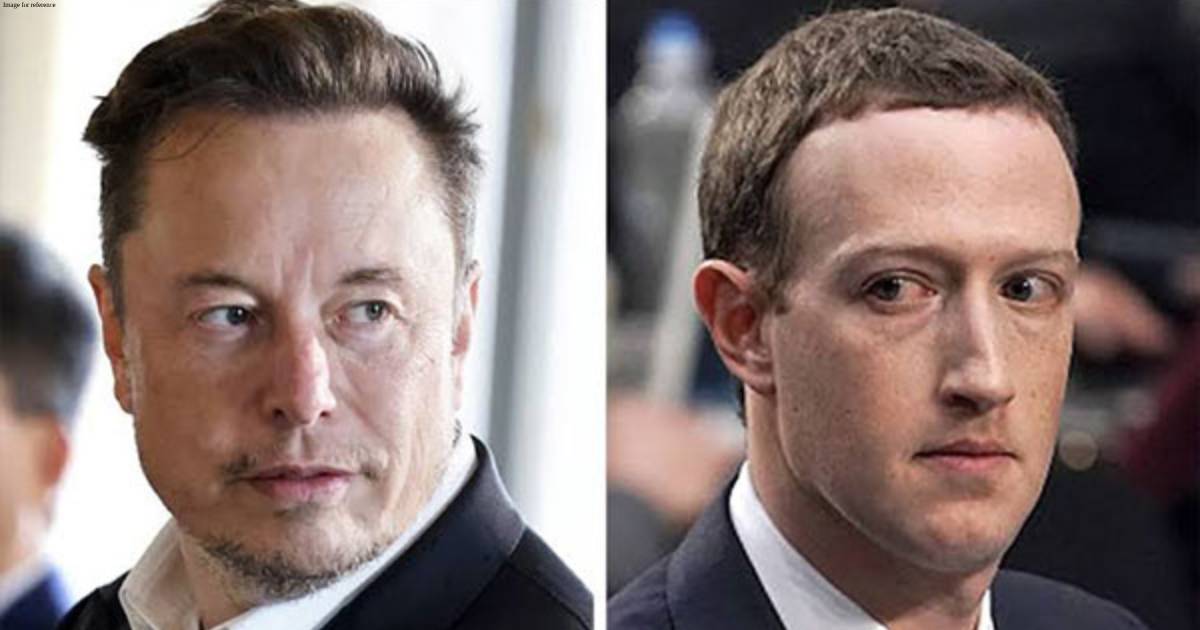 Elon Musk, Mark Zuckerberg's war of words over cage fight escalates